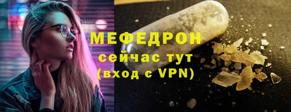 индика Новозыбков
