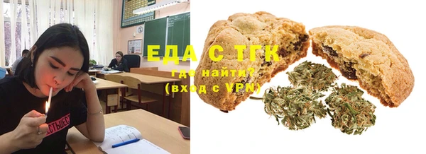 индика Новозыбков