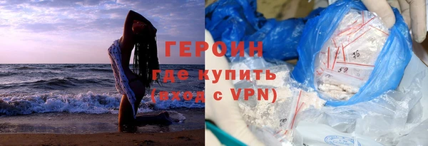 индика Новозыбков