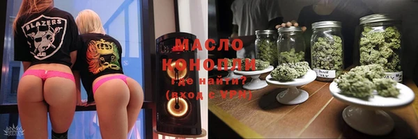 индика Новозыбков