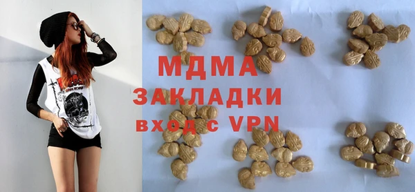 индика Новозыбков