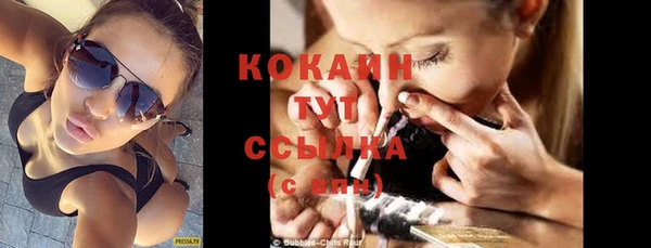 индика Новозыбков