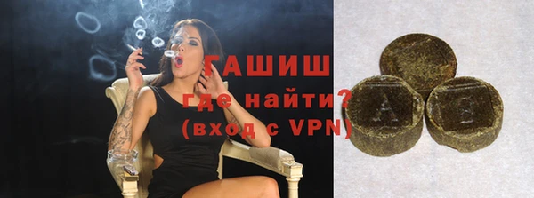 индика Новозыбков