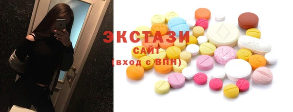 индика Новозыбков
