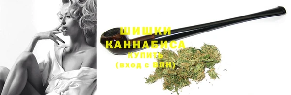 PSILOCYBIN Новодвинск