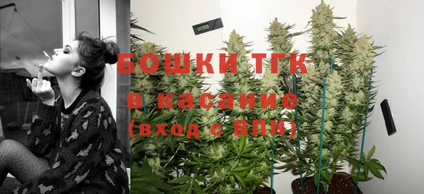 PSILOCYBIN Новодвинск