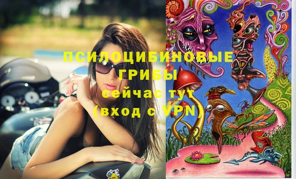 индика Новозыбков