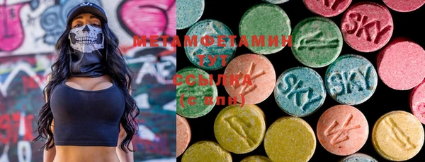 индика Новозыбков