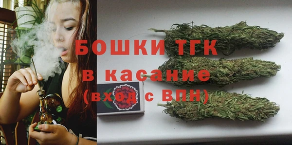 PSILOCYBIN Новодвинск