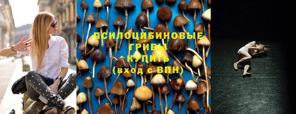PSILOCYBIN Новодвинск