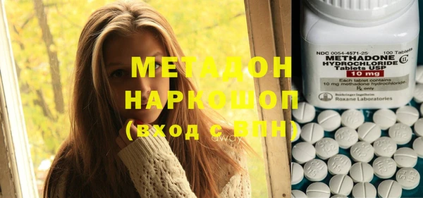 индика Новозыбков