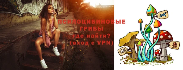 МДПВ Новокубанск
