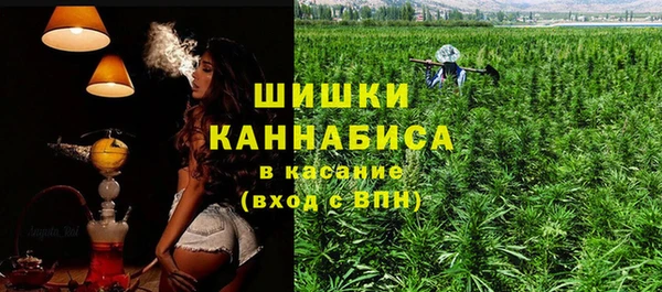 PSILOCYBIN Новодвинск