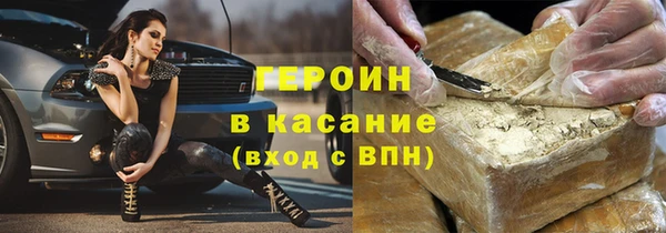индика Новозыбков