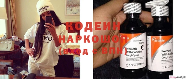 индика Новозыбков