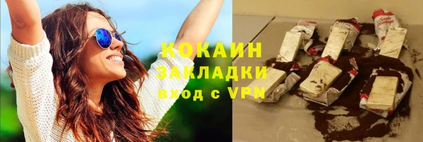индика Новозыбков